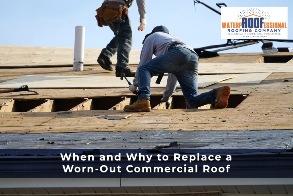 Commercial Roof