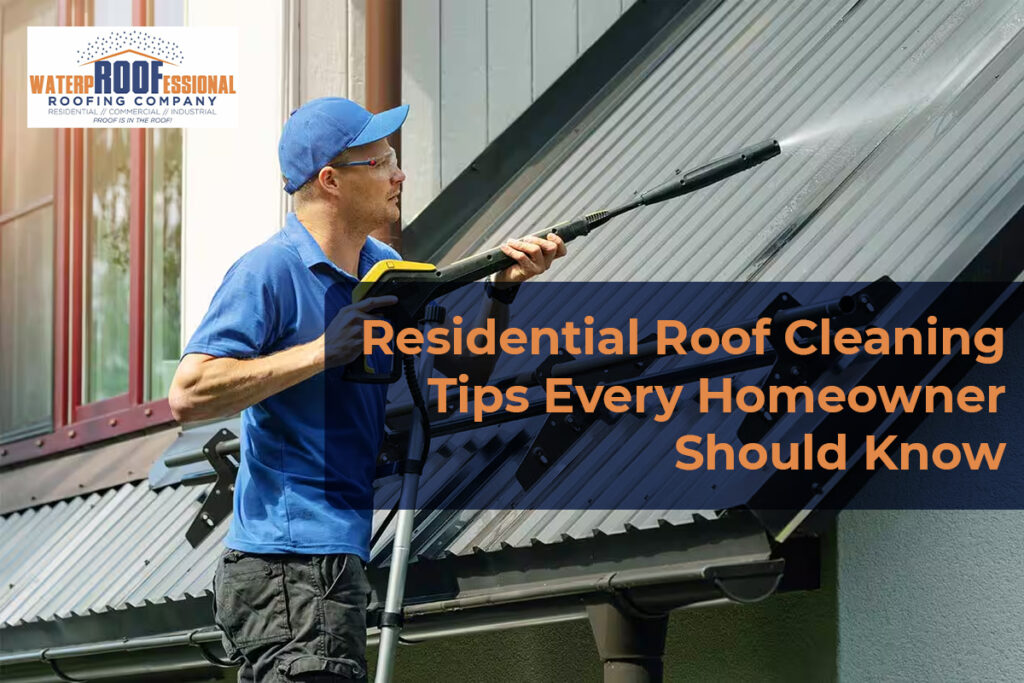 Residential Roof Cleaning