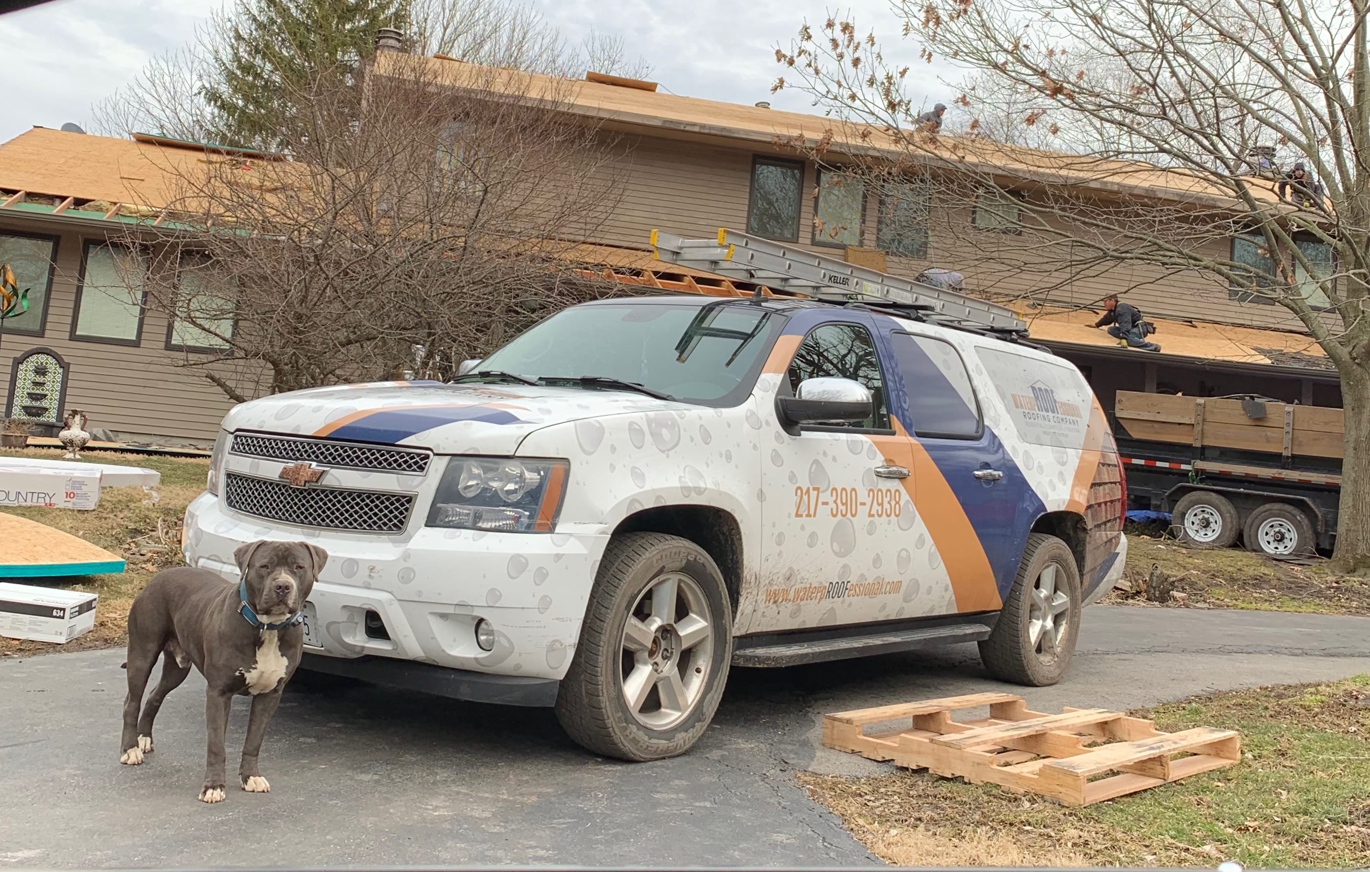 Roof Inspection
