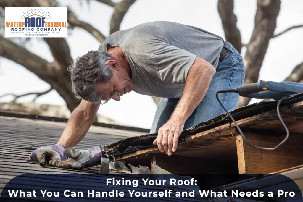 Fixing Your Roof: What You Can Handle Yourself and What Needs a Pro